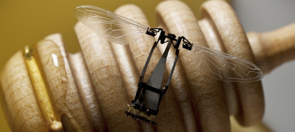 Один из вариантов RoboBee - из семейства сверхминиатюрных дронов, над которым работают в Гарвардском университете.