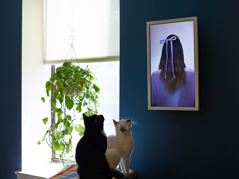 Моноблок EO1 приобщит к искусству даже кошек (фото: electricobjects.com).