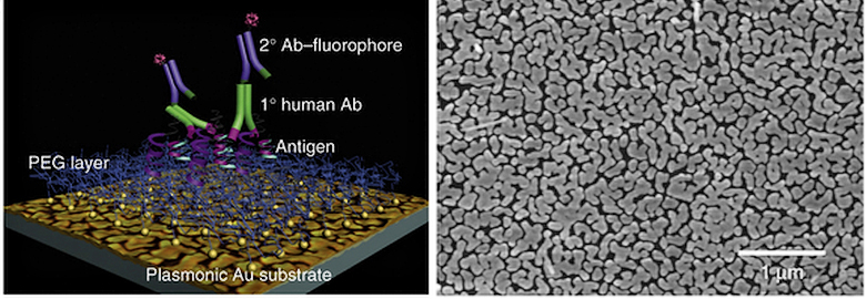 Схема работы плазмонного микрочипа и электронная микрофотография поверхности его пластины с наночастицами золота (фото: nature.com).