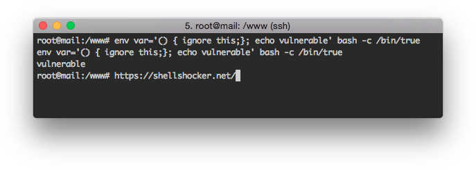Один из способов проверки.  Текст, стоящий за пределами {;}; исполняться не должен, но исполняется всеми версиями bash вплоть до 4.3.