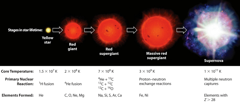 Термоядерный синтез элементов на  каждом этапе эволюции звезды (изображение: Bruce A. Averill).
