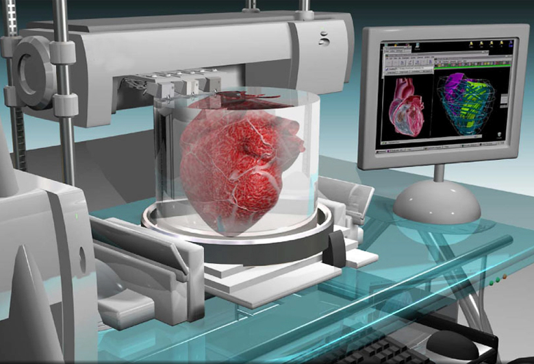 3D печать органов уже не выглядит фантастикой (изображение: Frank Wojciechowski).