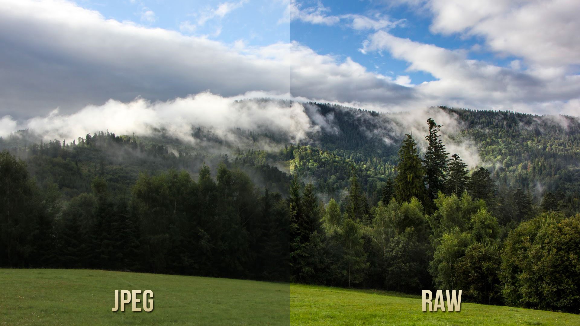 На самом деле сравнивать RAW и JPEG напрямую некорректно: JPEG всегда выглядит одинаково, тогда как отображение RAW может варьироваться в зависимости от применённых в данный момент настроек. Тем не менее в таком сопоставлении есть смысл: JPEG без потерь уже не изменишь, тогда как RAW всегда можно отобразить лучше, поиграв с параметрами!