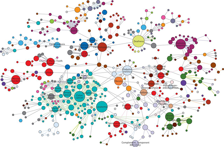 Пример того, как выглядит граф Источник: Goh K et al. «The Human Disease Network», PNAS 2007; 104: 8685-8690