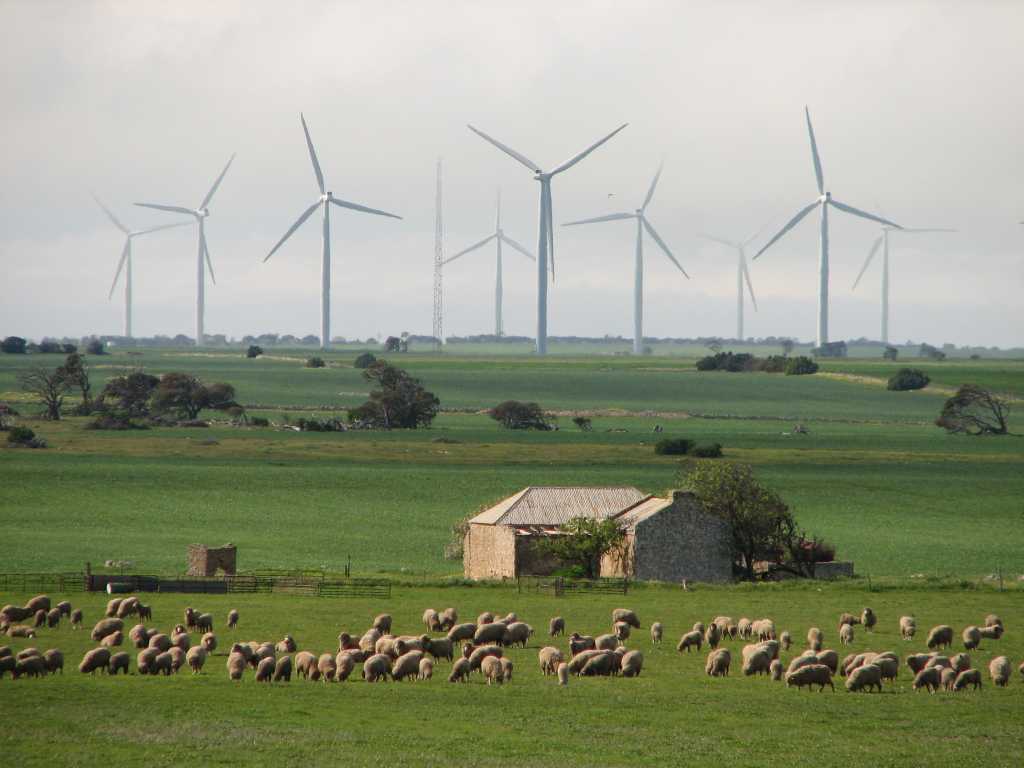 Каждый шестой киловатт-час в Австралии произведён из возобновляемых ресурсов. Правда, ветер и солнце пока уступают биомассе и гидроэнергетике, но именно на них будет сделан акцент в следующее десятилетие.