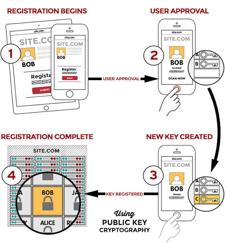 Использование отпечатка в протоколе FIDO аналогично для схем защищённой регистрации, логина и подтверждения платёжных транзакций (фото: businessinsider.com).