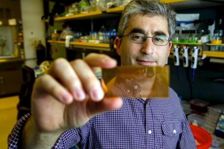 Доктор Брайан Фельдман держит в руке стеклянную пластину диагностического чипа, покрытую наночастицами золота (фото: med.stanford.edu).