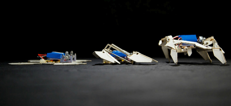 Самосборка робота-оригами (фото: wyss.harvard.edu).
