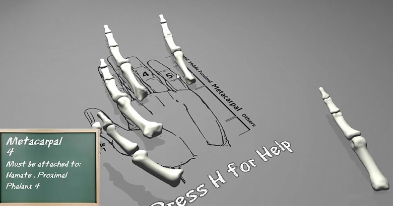 В игре используются англоязычные названия костей (изображение: bonesbox.fr).