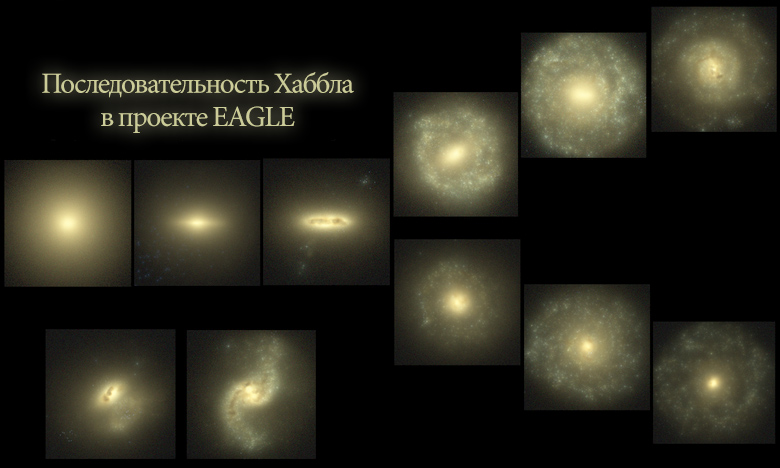 В проекте EAGLE воспроизведены все типы галактик (последовательность Хаббла).