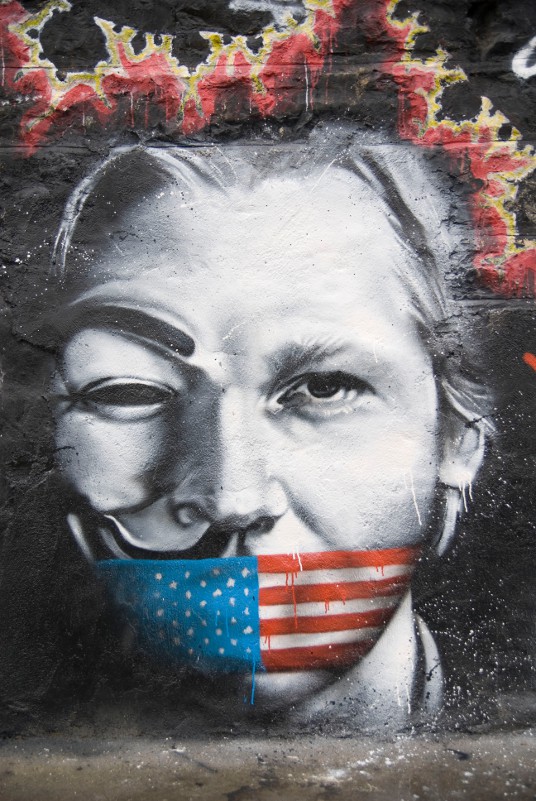 В атаке на Dyn подозревали даже пресловутых Анонимусов и сторонников Wikileaks (мол, мстят за то, что Штаты обрубили Ассанжу интернет в эквадорском посольстве), но это скорее желаемое, выдаваемое за действительное...