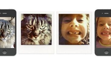 Вторая жизнь Polaroid: проект Impossible Instant Lab