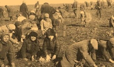 Как нам победить весь мир: второй июльский прожект