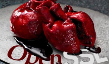 Жизнь после Heartbleed: как обезопасить себя в интернете