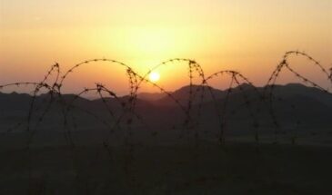 Уроки прошлого для учеников будущего: как извлечь максимальную пользу из творческого люда