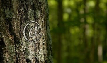 В Нью-Йорке свой e-mail получат 200 деревьев
