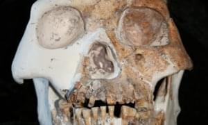 Полку неизвестных прежде родственников Homo sapiens прибавилось
