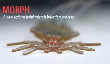 Созданы микророботы нового типа