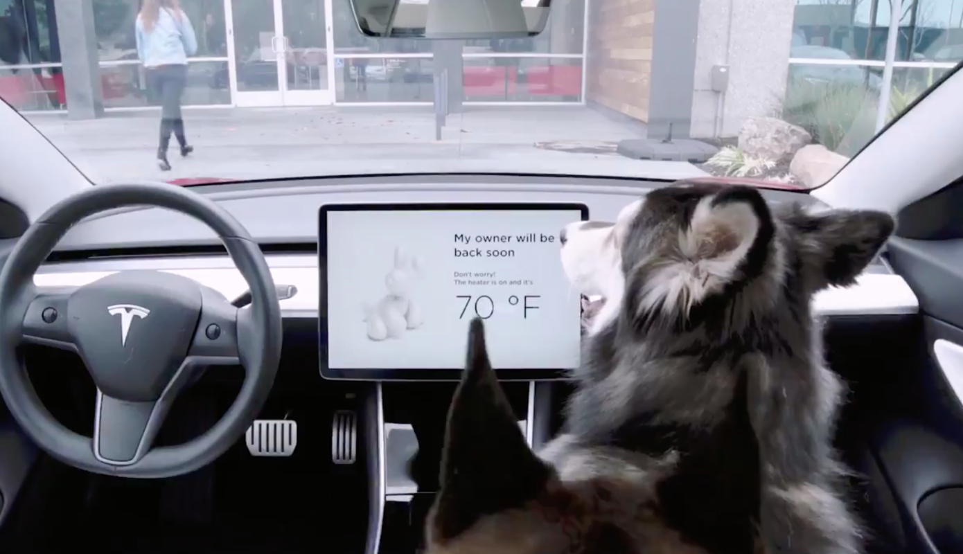 Tesla интегрирует новые режимы Dog mode и Sentry mode
