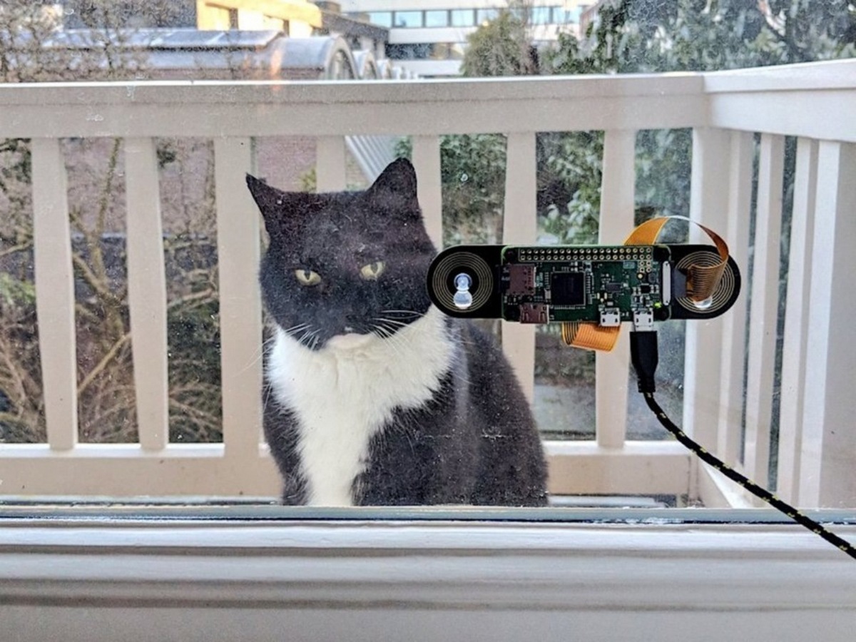нейросеть так, чтобы она узнавала за окном его кота
