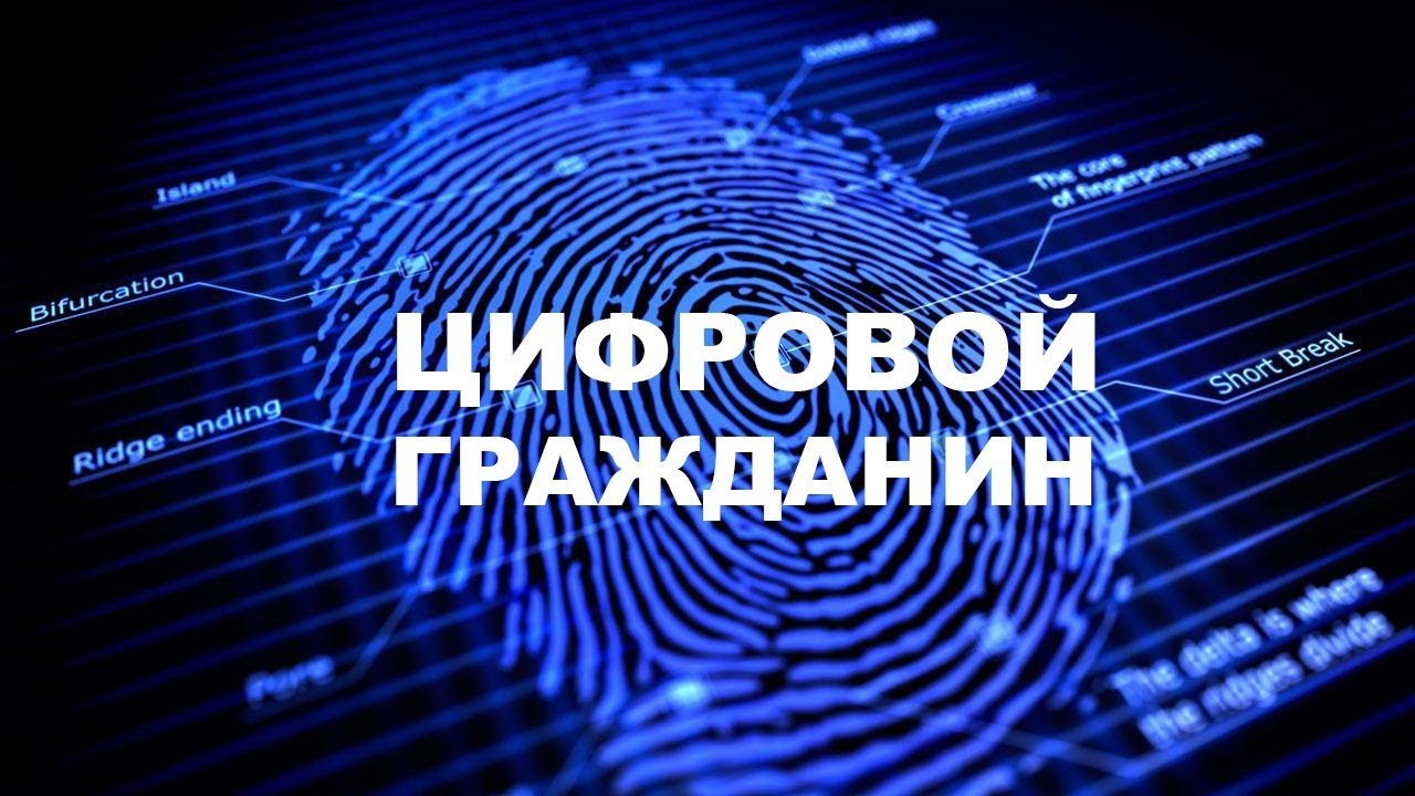 Цифровой гражданин. Цифровой профиль гражданина. Система цифровой гражданин. Цифровой профиль внедрение.