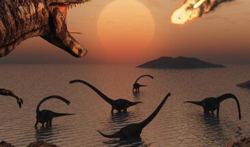 Разрушение глобальных систем привело к вымиранию динозавров – что ждет человека?