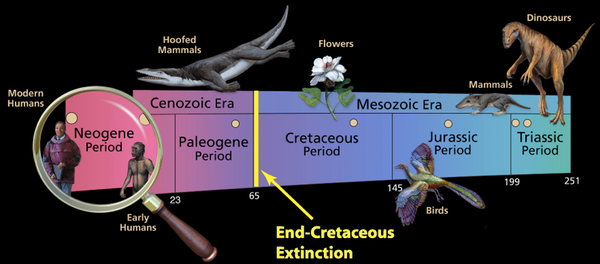 Разрушение глобальных систем привело к вымиранию динозавров – что ждет человека? 