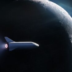 SpaceX      Starship   