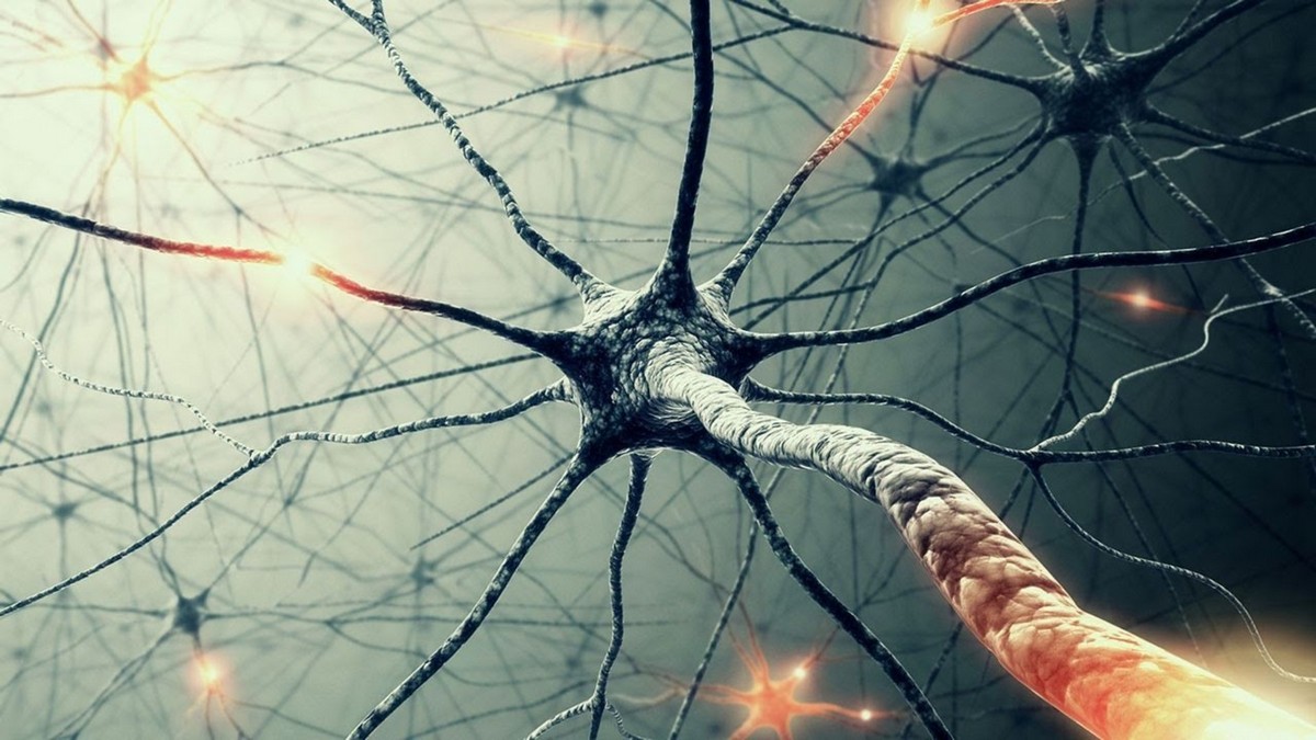 19 отличных бесплатные нейросетей