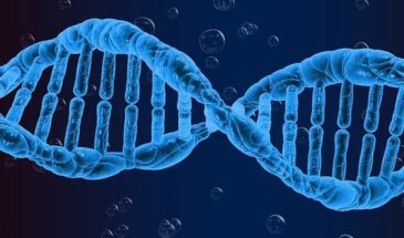 ДНК — лишь одна из миллиона возможных генетических молекул