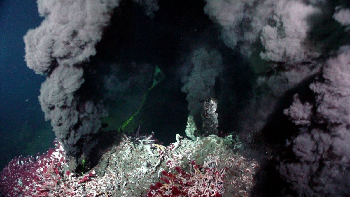 Исследование: глубоководные гидротермальные источники обладали идеальными условиями для возникновения жизни