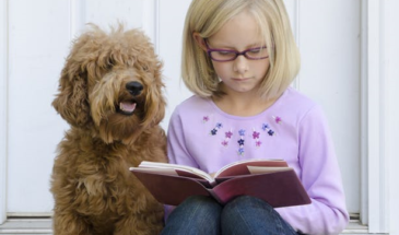 По новым данным собаки могут помочь ребенку учиться