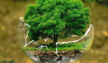 Технологии на службе экологии