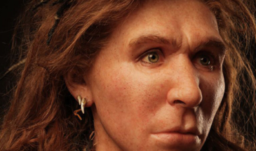 Ученые установили, почему неандертальцы не смогли стать доминирующим видом