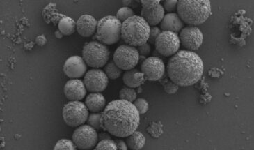 Наночастицы с зазубринами будут убивать бактерии