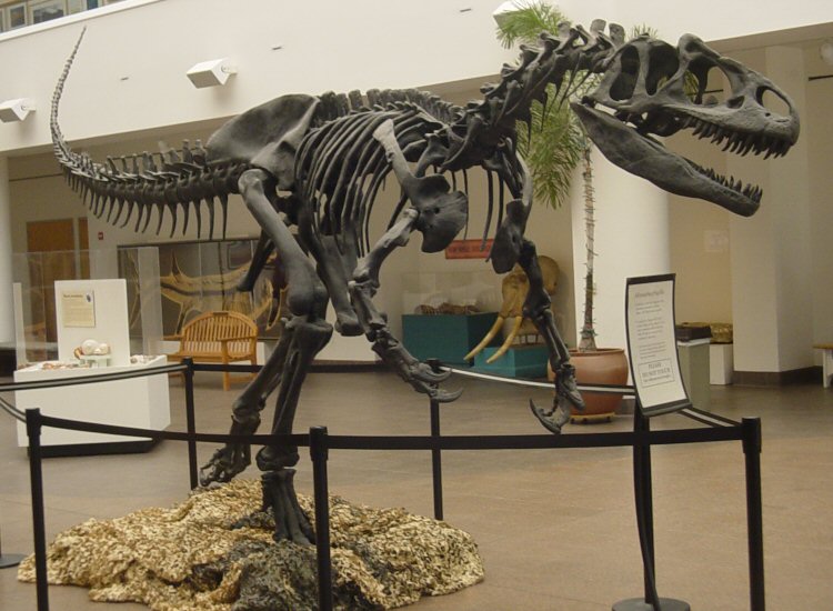 Открыт динозавр, который был опаснее тиранозавра-рекса | Компьютерра