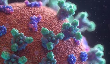 Как распространяется коронавирус? Главные вопросы о COVID-19