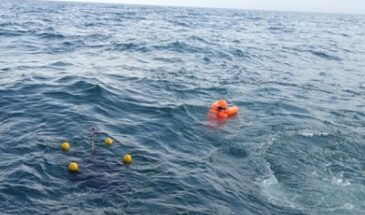 Поисково-спасательный алгоритм от MIT может быстро найти потерянных в море