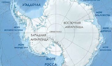 В Антарктике сформировалась новая экосистема