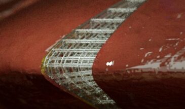 Ученые предложили выращивать органы прямо в организме пациента