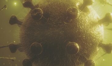 Новое исследование ставит под сомнение иммунитет к COVID-19
