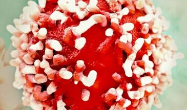 Разработана синтетическая иммунная молекула для борьбы с раком