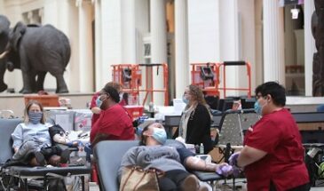 Доноры крови помогут исследователям выяснить, как долго действуют антитела к коронавирусу