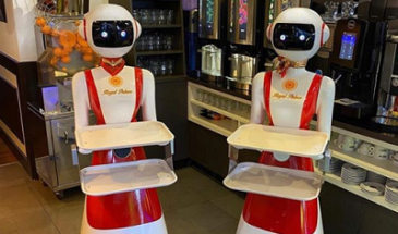 Ресторан в Нидерландах использует роботов-официантов для социального дистанцирования