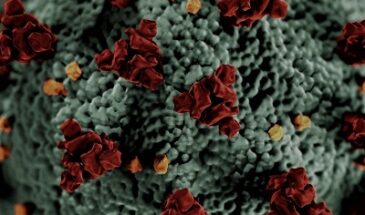 Гарвардские ученые в США выпустили рецепт самодельной вакцины против коронавируса