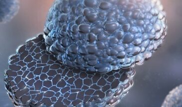 Новое катодное покрытие продлит срок службы литий-ионных батарей и повысит безопасность