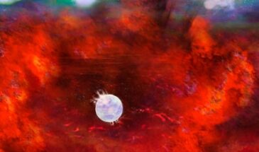 Астрономы нашли пропавшую нейтронную звезду в остатках сверхновой