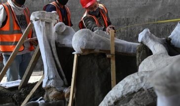 Во время строительства аэропорта в Мексике рабочие нашли кости мамонтов
