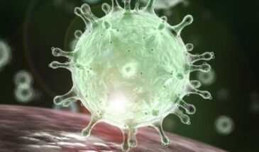 Учёные показали поразительные снимки клеток, заражённых SARS-CoV-2