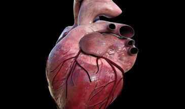 По белку в слюне можно будет установить сердечный приступ за рекордные 10 минут